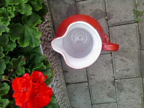 Červený džbánek — foto 3