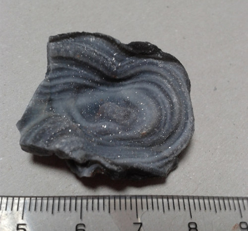 Chalcedonová růže (hadí achát) L-116 — foto 2