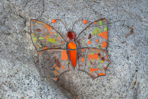 Motýl elegán — foto 2