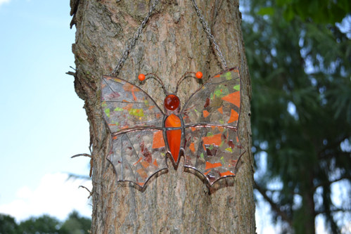 Motýl elegán — foto 4