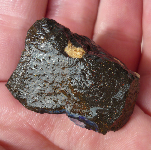 Přírodní Boulder Opál - Yaraka - Austrálie — foto 3