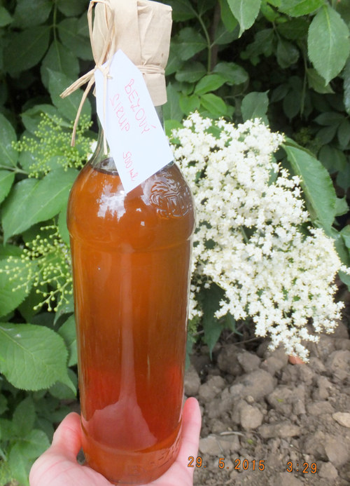 Bezový sirup — foto 4