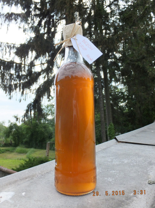 Bezový sirup — foto 5