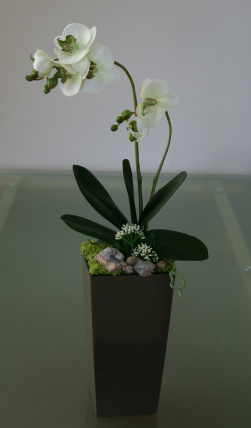 Aranžmá s orchidejí - na přání — foto 2