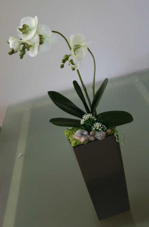 Aranžmá s orchidejí - na přání — foto 4
