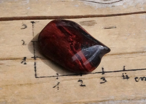 Býčí oko B9024 — foto 3