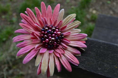 Gerbera z dávné doby - brož + pineta — foto 2
