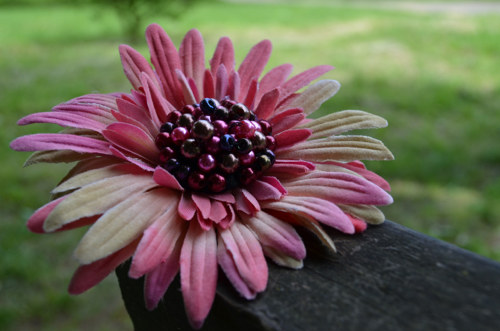 Gerbera z dávné doby - brož + pineta — foto 3