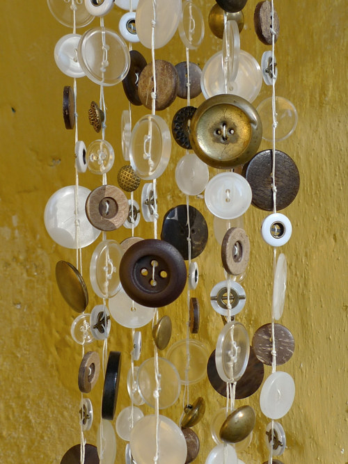 Kočičí zlato — foto 4