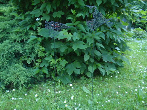 Cukrouš — foto 6