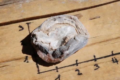 Hadí achát - chalcedonová růže B9135 — foto 4