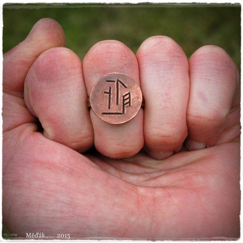 TomHogan ring... — foto 4