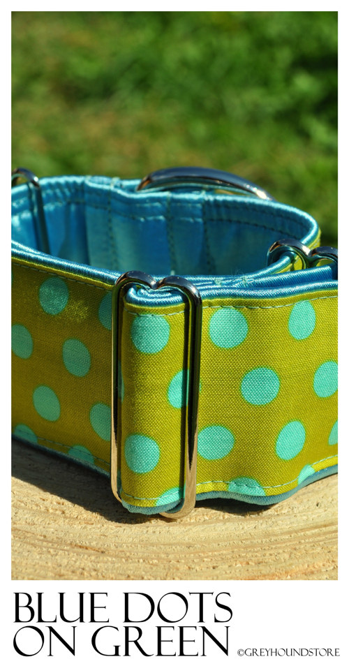 Blue Dots on Green — foto 2