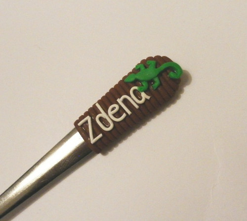 Ještěrka — foto 2