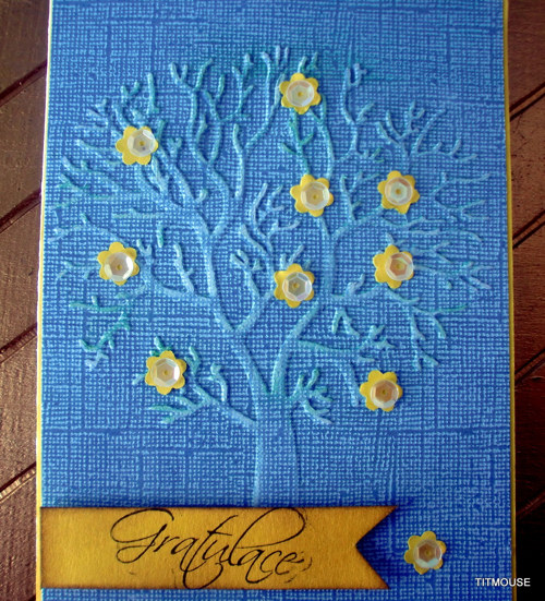 Žluté kvítky — foto 2