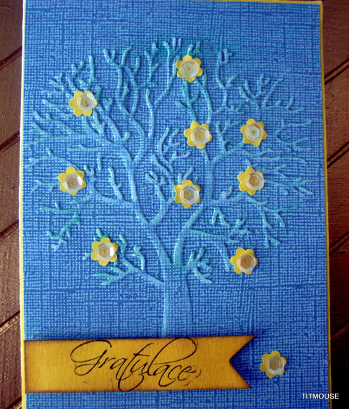 Žluté kvítky — foto 3