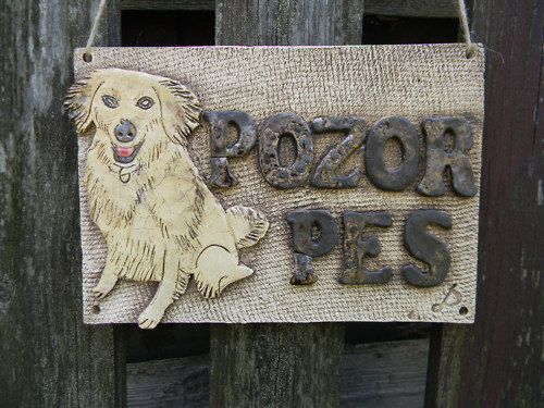 Pozor pes — foto 3
