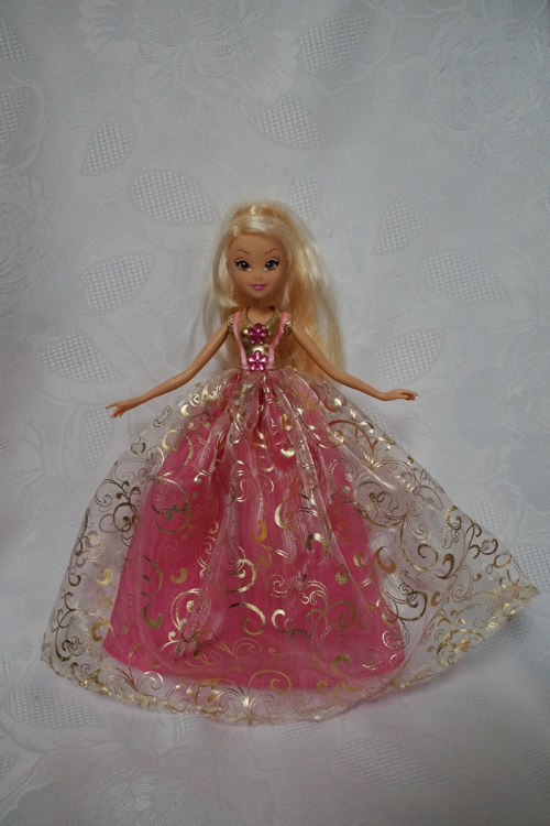 Winx je princeznou — foto 4