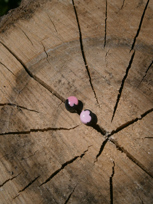 Pecky Cxxxviii — foto 2