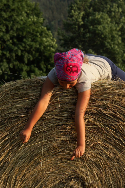 ... Slonisko ... — foto 6