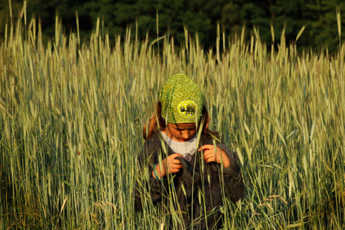 ... Mimikry ... — foto 3