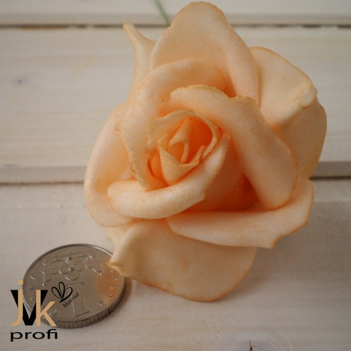Růže - sv. oranžová 12 ks — foto 3