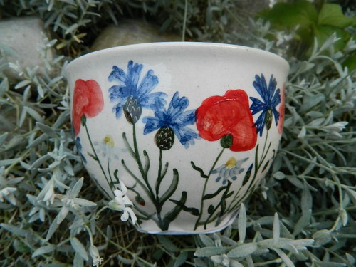 Kompotovka maková — foto 5