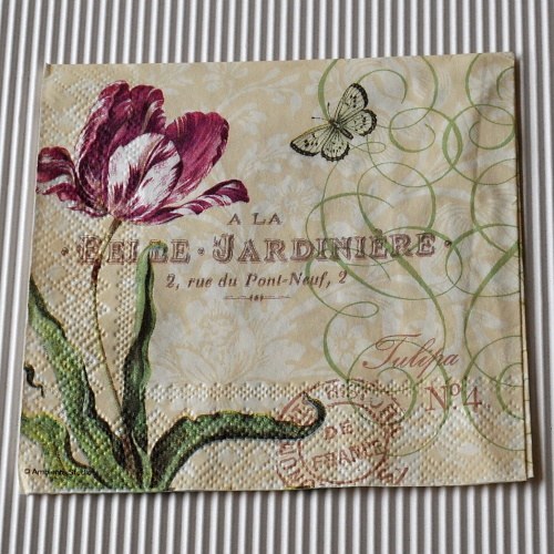 Ubrousek - Tulipán — foto 2