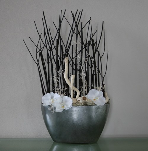 Orchideje v trní — foto 2