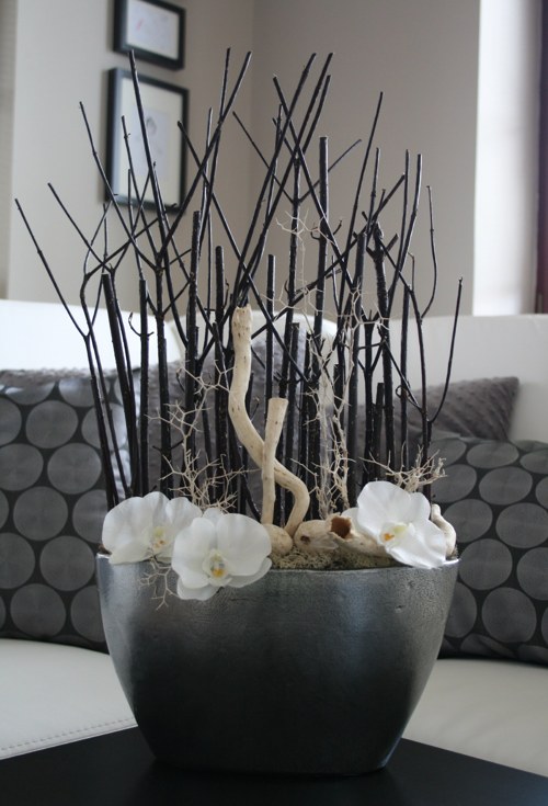 Orchideje v trní — foto 3