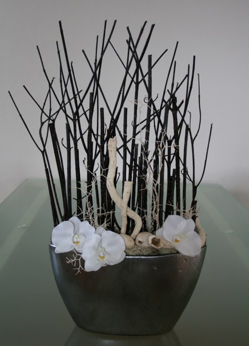 Orchideje v trní — foto 4