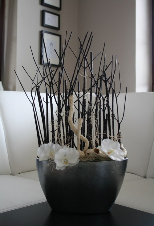 Orchideje v trní — foto 5