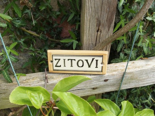 Jmenovka na přání -jednoduchá — foto 2