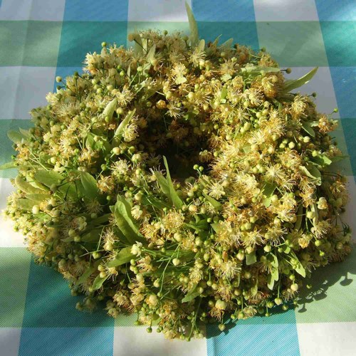 Věneček-Lipový II. — foto 2