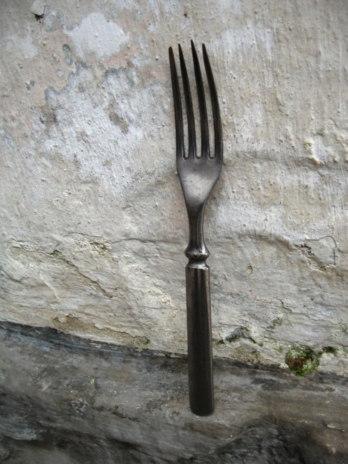 Vidličková..... — foto 2