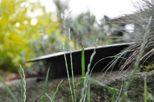 RAKU mísa: Obloha na talíři — foto 2