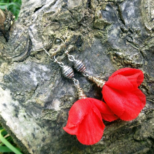 Vlčí máky — foto 3