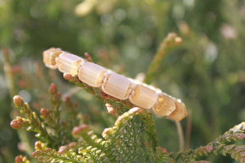 Macramé/shamballa náramek — foto 2