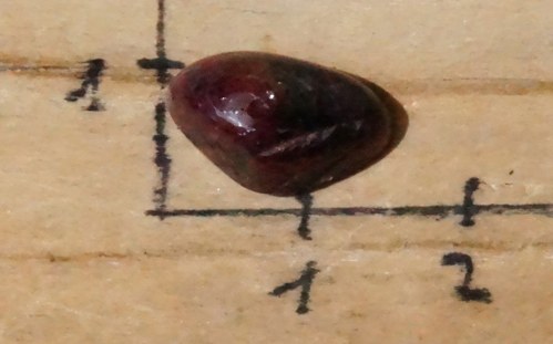 Rubín B9739 — foto 2