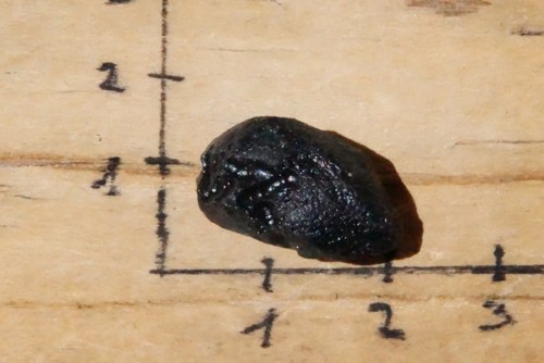 Tektit, meteorit B9757 — foto 3