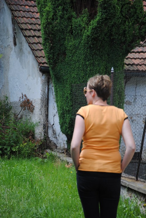 Pruhovaná oranžáda, vel. L — foto 2