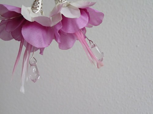 Fuchsia floro — foto 2