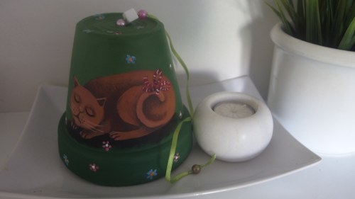 Kloboukovokočičí :-) — foto 5