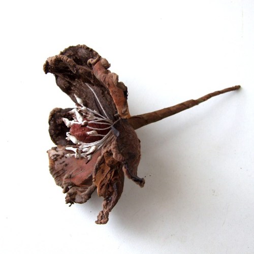 Textilní květ - hnědý — foto 2