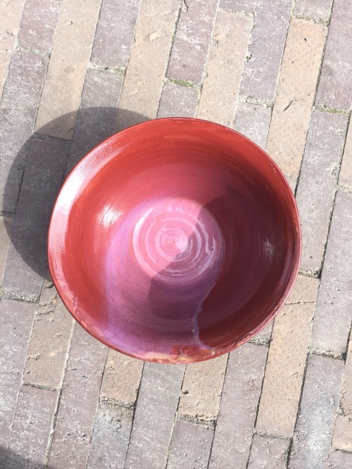 Mísa hnědka — foto 3