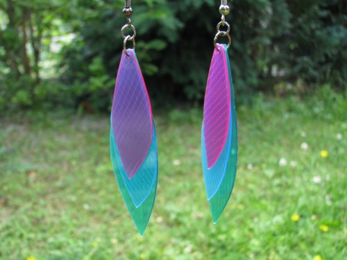 Parrot fish — foto 2