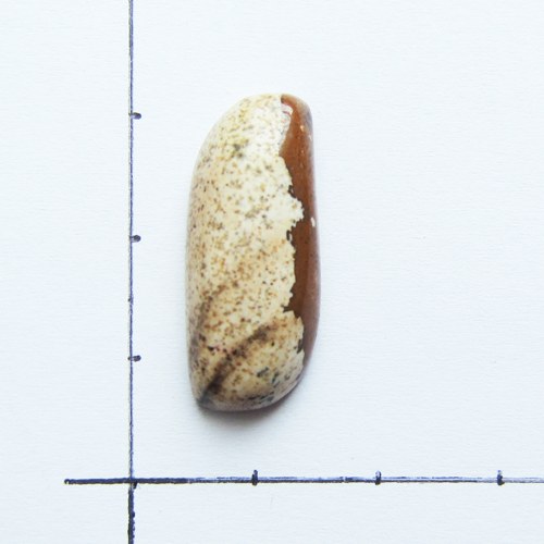 Kabošon jaspis obrázkový, 25x10x7 — foto 2