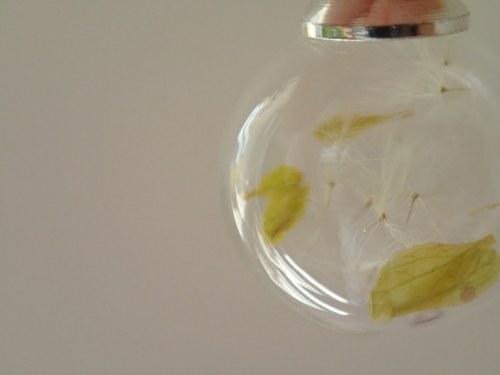 Beleta II. — foto 3