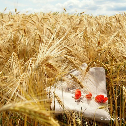 Ve vousech...košile 3/4 rukáv — foto 6