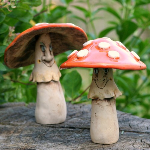 Houby jedůvky a jiné — foto 4